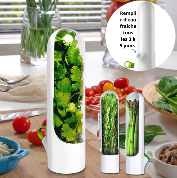 Bouteille conservatrice d'herbe aromatique