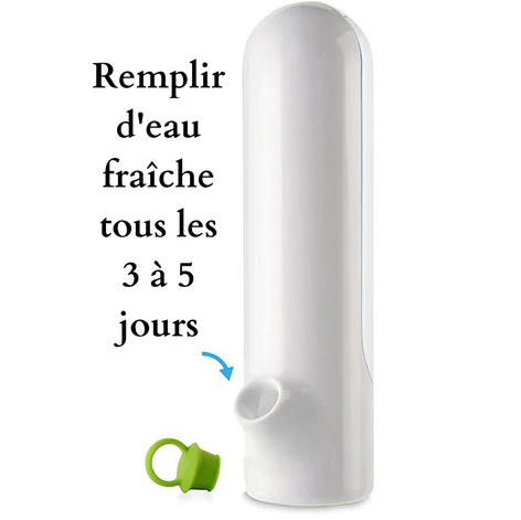 Bouteille conservatrice d'herbe aromatique