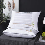 Graines de Jasmin / 48x74