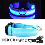 Waterproof LED Collar - USB Rechargeable