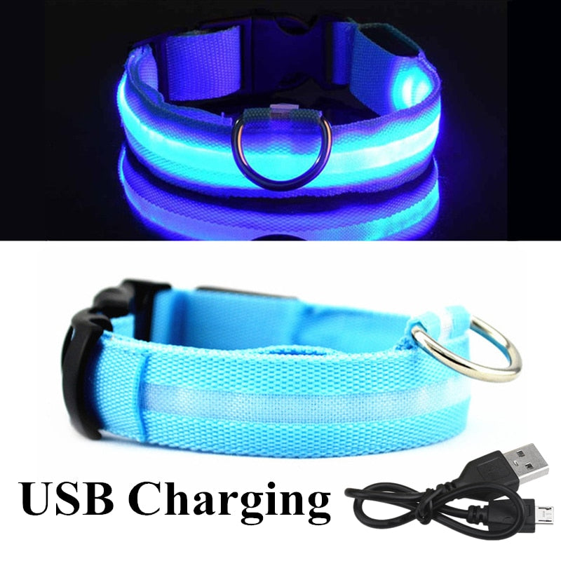 Waterproof LED Collar - USB Rechargeable