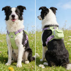 Harnais Sac à Dos pour Chien – Confortable et Réglable