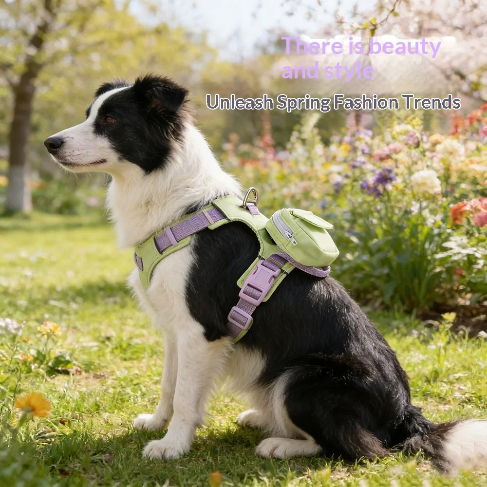 Harnais Sac à Dos pour Chien – Confortable et Réglable