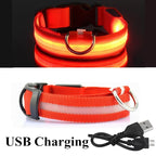 Waterproof LED Collar - USB Rechargeable